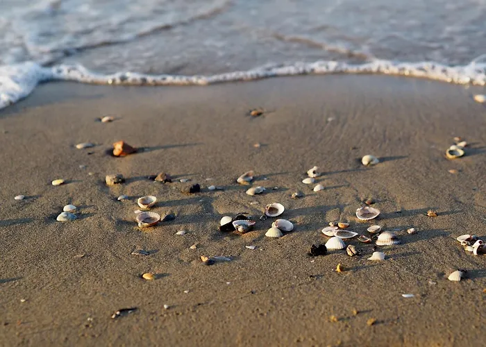 Διαμέρισμα Colorful Living Μπιμπιόνε